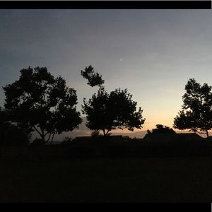 Meet your Posher, Sonia